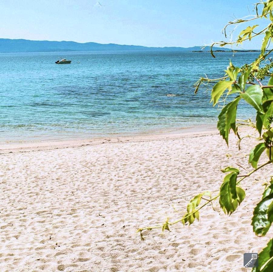 Evasion Corse - T2 Vue Mer, Piscine & Plage Ajaccio  Zewnętrze zdjęcie