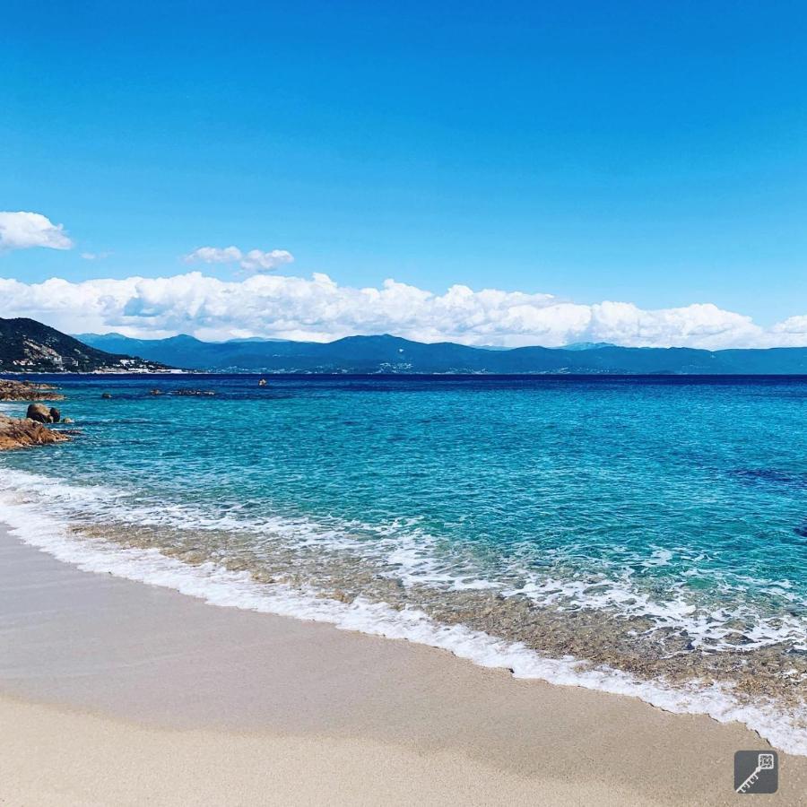 Evasion Corse - T2 Vue Mer, Piscine & Plage Ajaccio  Zewnętrze zdjęcie