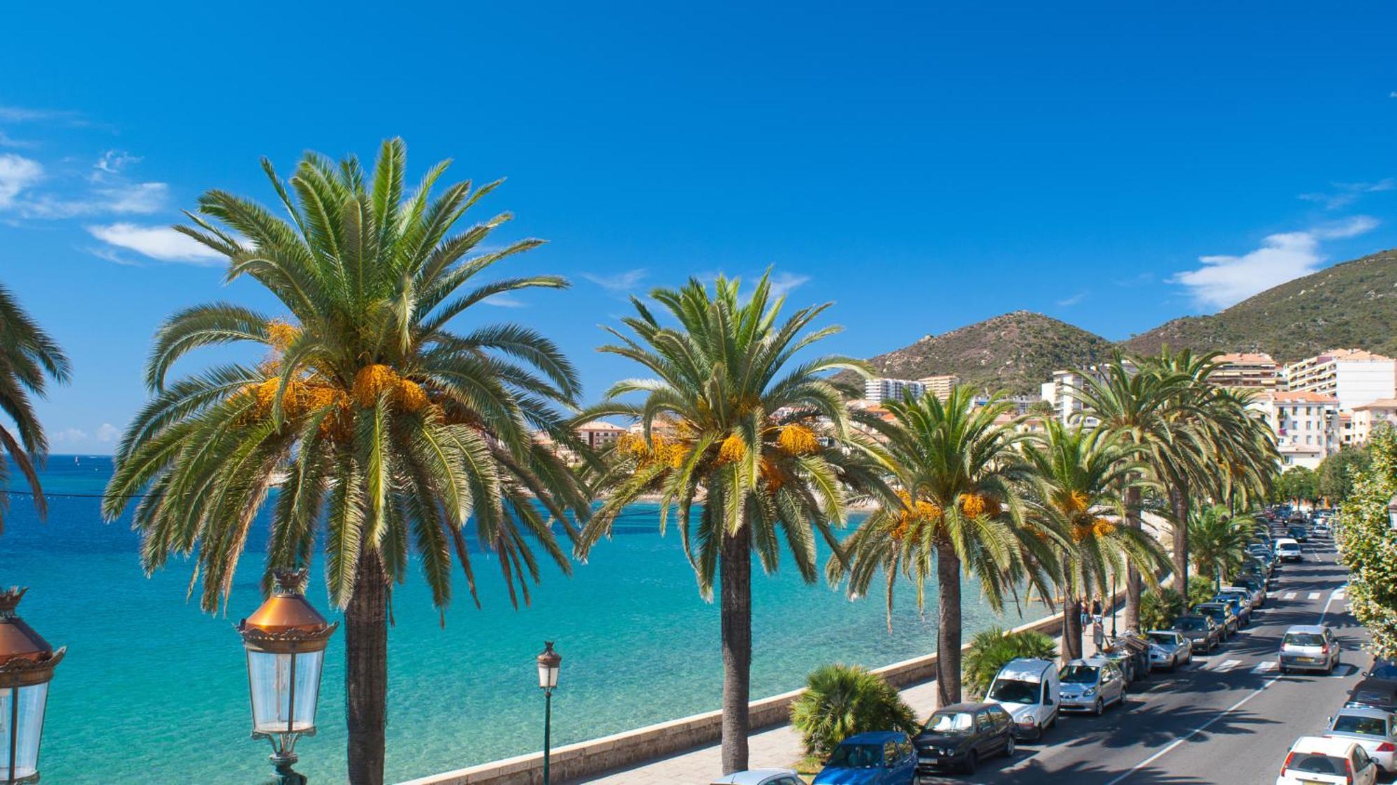 Evasion Corse - T2 Vue Mer, Piscine & Plage Ajaccio  Zewnętrze zdjęcie