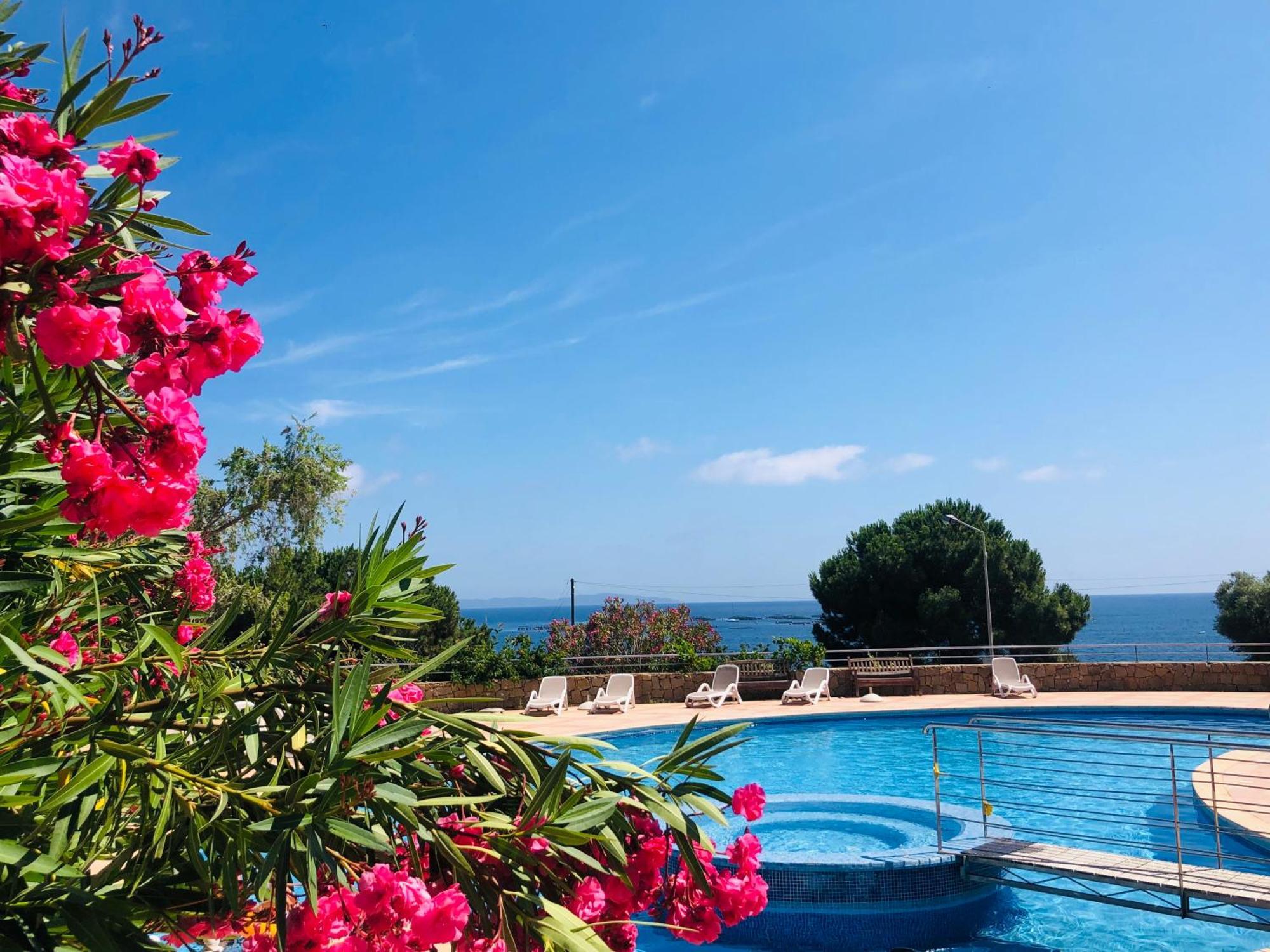 Evasion Corse - T2 Vue Mer, Piscine & Plage Ajaccio  Zewnętrze zdjęcie