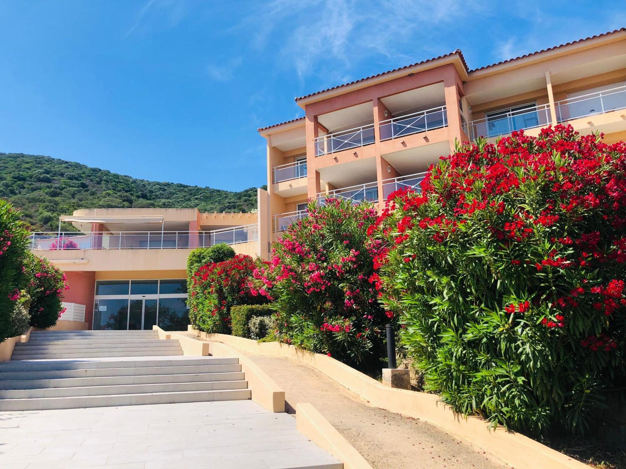 Evasion Corse - T2 Vue Mer, Piscine & Plage Ajaccio  Zewnętrze zdjęcie