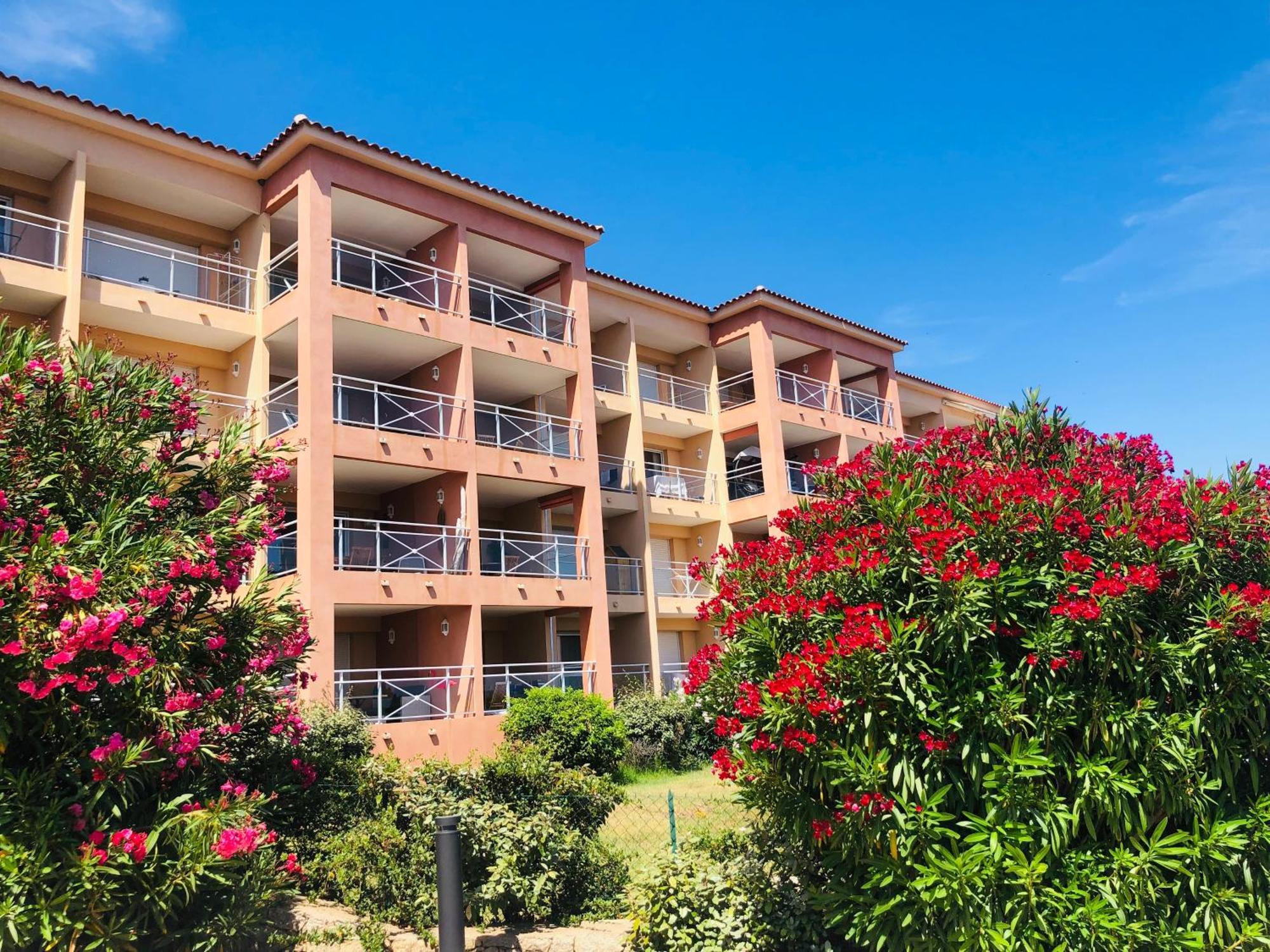 Evasion Corse - T2 Vue Mer, Piscine & Plage Ajaccio  Zewnętrze zdjęcie